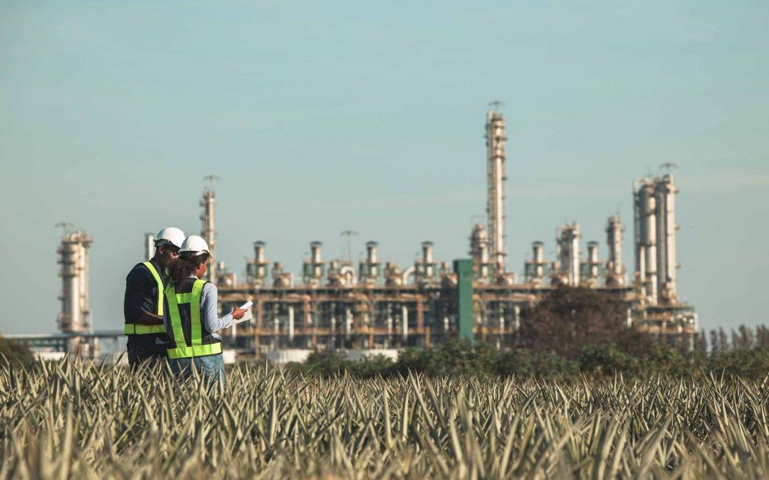 Sentencia Firme sobre la cláusula de revisión salarial del XX Convenio General de la Industria Química