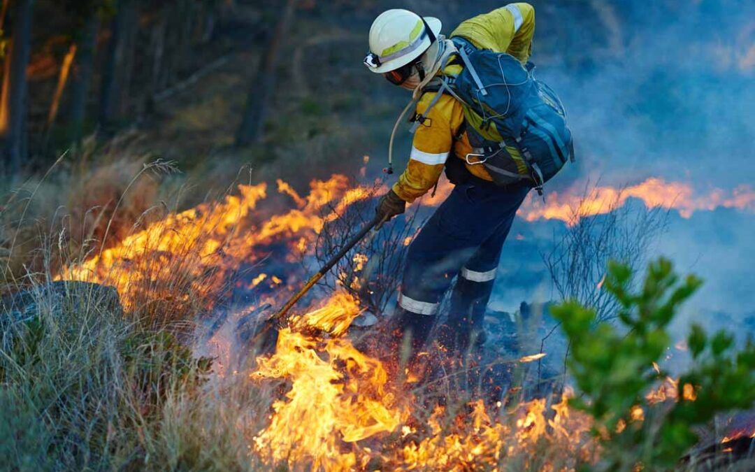 LOS BOMBEROS FORESTALES DE MADRID SE LEVANTAN POR UN CONVENIO DIGNO Y DERECHOS FUNDAMENTALES