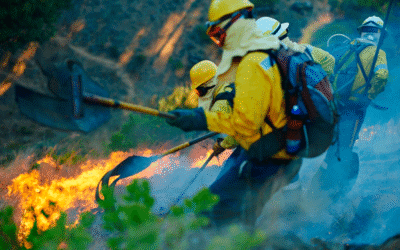 Bomberos forestales de Madrid: firmamos un preacuerdo mientras la Sierra Oeste sigue humeando